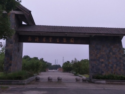 银杏公园