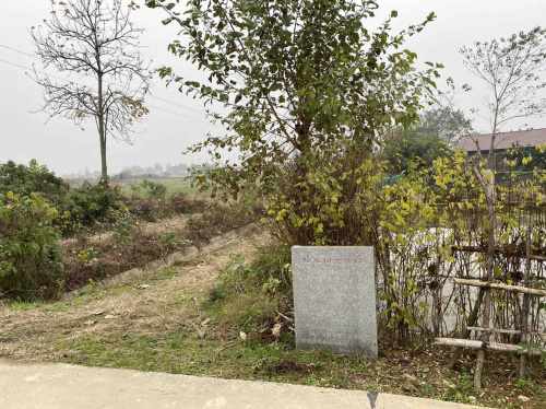 杨家祠堂