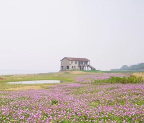 来仪湖国家湿地公园
