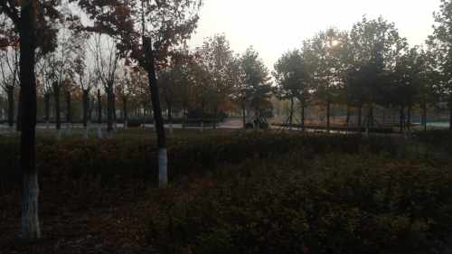 翔凤河公园