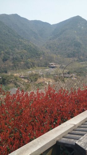 东海大峡谷国家森林公园之茶人谷生态旅游区