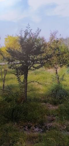 滨河公园