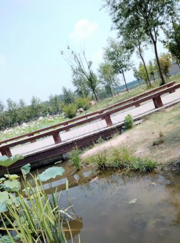 平舆县植物园