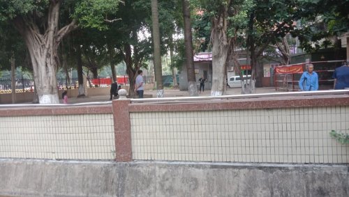 鹤南公园
