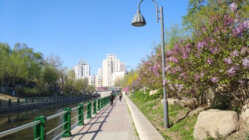 马家沟河丽水公园