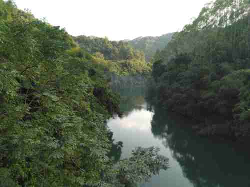 白垢森林公园