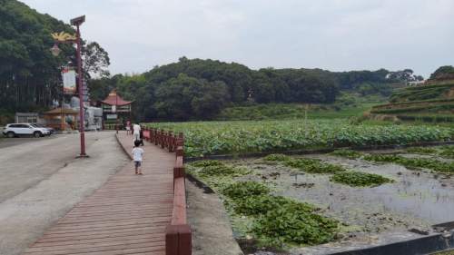 鲤鱼岗森林公园