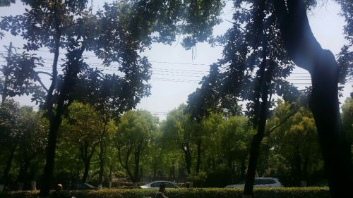 龙溪公园