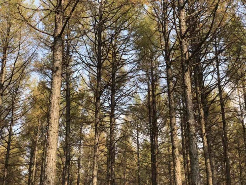 御桦十景自然旅游风景区