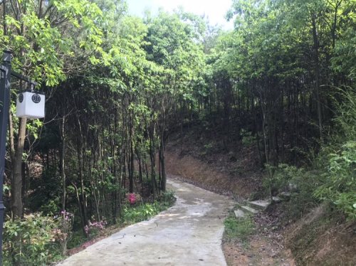 盘龙谷生态旅游区
