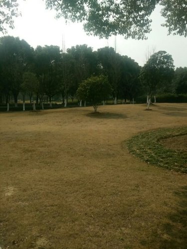 长江公园