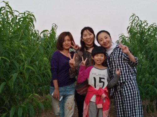 慧生园
