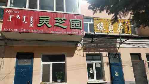 灵芝园