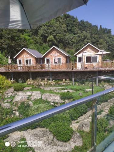 沙湾醉花谷高山杜鹃园