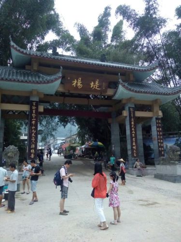 杨堤