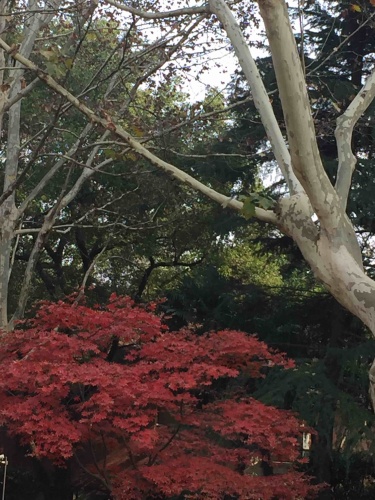 华山儿童公园