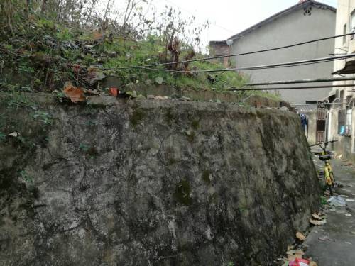 蛮王之墓