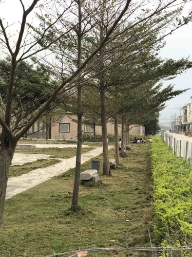 后埔公园