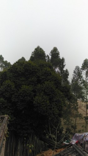 博白县文地镇江滨公园