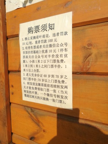 莲海观光园
