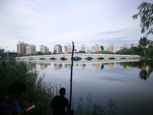 栖凤园
