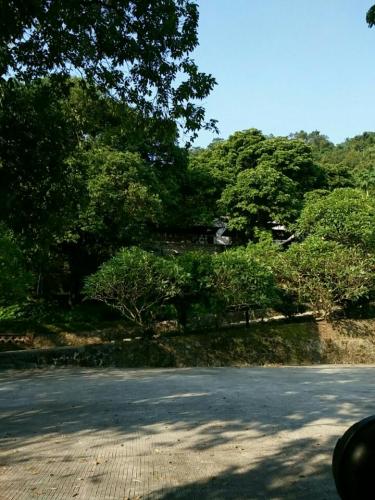 竹园庵