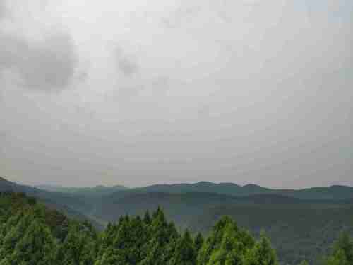 崴螺山森林公园