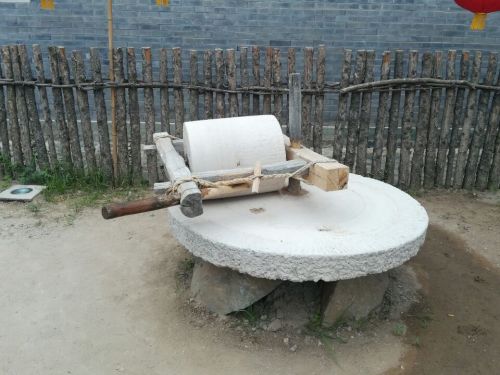 廿一号