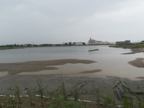南部新城青年公园
