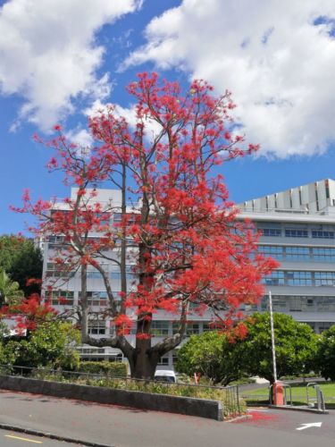 中山公园