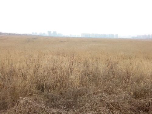 偏桥沟主题文化园