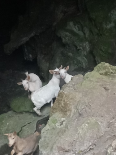 孔明岩