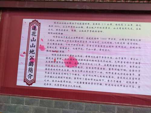 莲花山山地公园