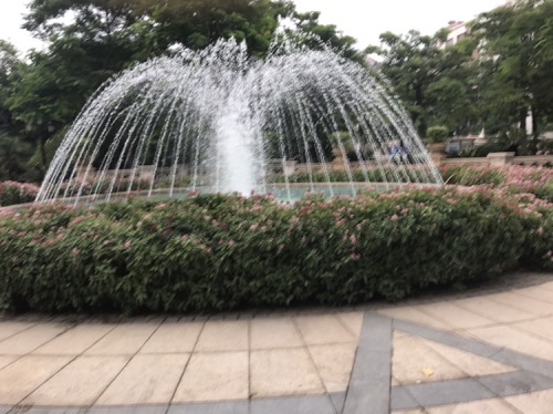 香江公园