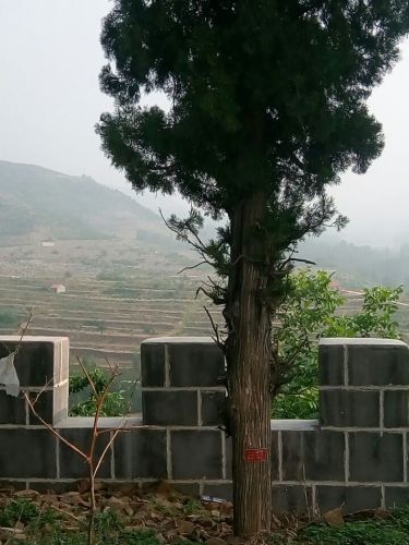 圣母山