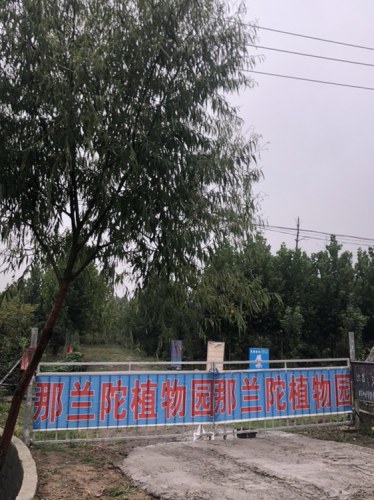 那兰陀植物园