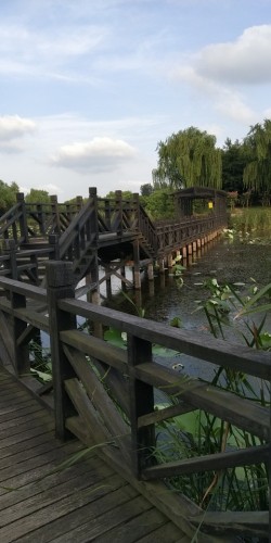 葫芦岛芙蓉生态园
