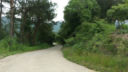 齐庐山风景区