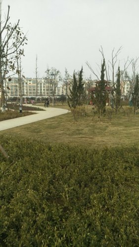 刘桥体育公园