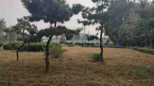 彩虹广场