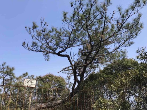 姬岩风景区