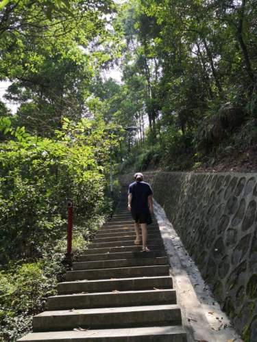 樟坑径公园