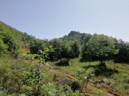 鹿鸣山风景区