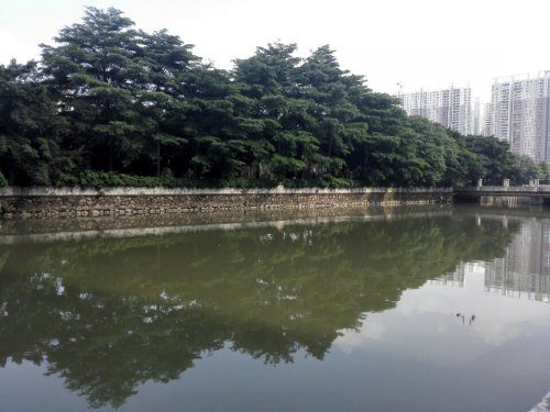 天马河国际公园