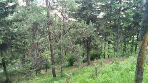 青龙山公园