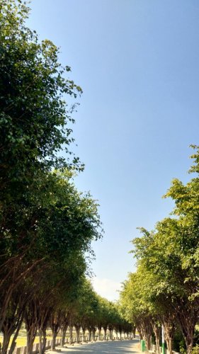 故居公园