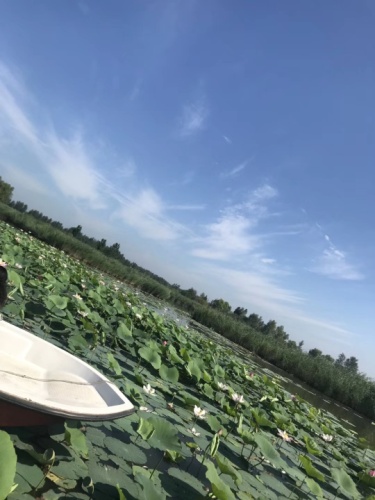 八里湖湿地公园