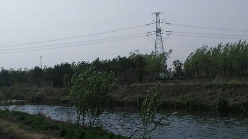 界园