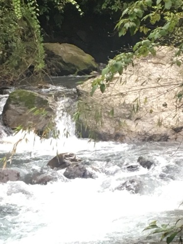 鞍子河自然保护区
