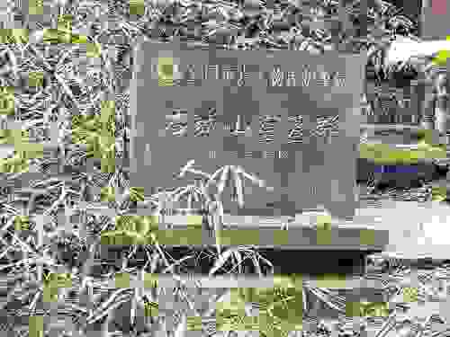 北斗崖宋墓群